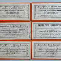          Stereoscope Cards, Allegan Series picture number 3
   