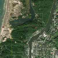 Gage Cottage, Dune Fire, Frogs