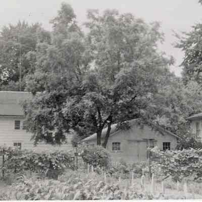 331 Grand backyard0001.JPG 506KB: Erickson collection - Digital file on Jack Sheridan Drive 2021.72.02