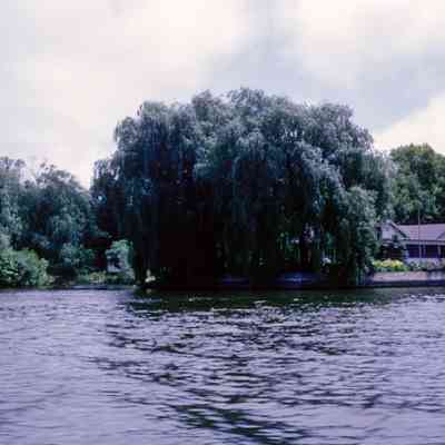 Promontory wooded with willow trees: Filename: Stube7 View of AZO River 7_66.jpg 1.7MB