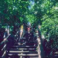          Stairs at Mount Baldhead; Filename: Stube31 Anne, Carol & Jane Stube 8_74.jpg 2.6MB
   