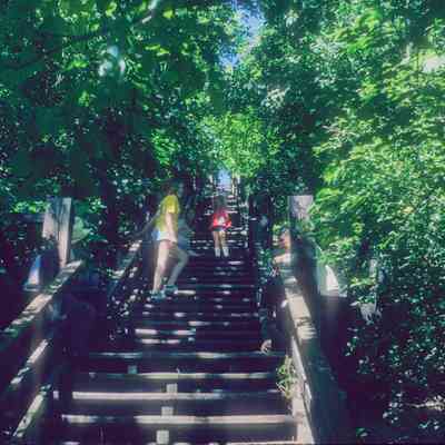 Stairs at Mount Baldhead: Filename: Stube31 Anne, Carol & Jane Stube 8_74.jpg 2.6MB