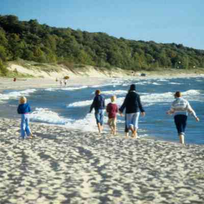 Filename: Stube36 Stubes Walking on Oval Beach 8_77.jpg 1.1MB
