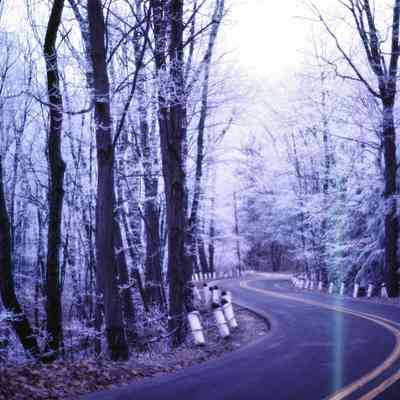 Perryman Street 1980: Filename: Stube45  Road to Oval 1_80.jpg 10.9MB