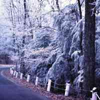          Filename: Stube46 Road to the Oval 1_80.jpg 10.7MB
   
