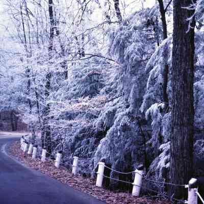 Filename: Stube46 Road to the Oval 1_80.jpg 10.7MB