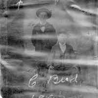 Walz and Bird 1893