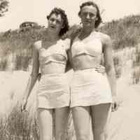          Jane Friend at BeachBirdCollection.jpg 284KB
   