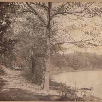 ParkStreetLookNorth.jpg 1MB