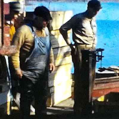 Commercial fishing movie