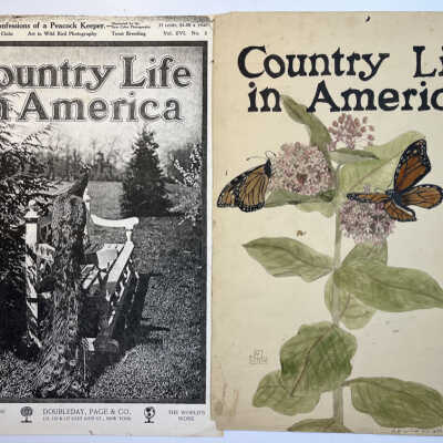 Country Life in America design