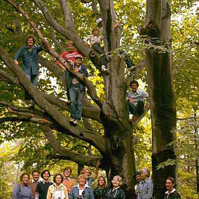 famtree.jpg