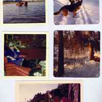          Mary Kay Beetles montage-1.jpg 9MB
   
