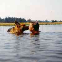          MaryK&dog.jpg 130KB
   