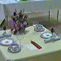          1. 1987 and 1989 Douglas Garden Club Flower Show
   