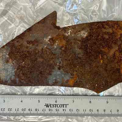 Possible fragment of sawblade