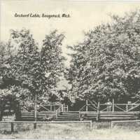 Orchard Cabin Postcard
