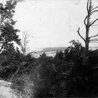          bf020.jpg 983KB; View of dunes
   