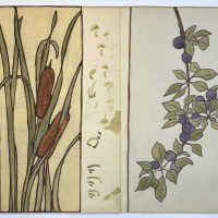          Celia Gamble botanical studies picture number 2
   