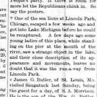 Seals and Sea Serpent in Lake Michigan