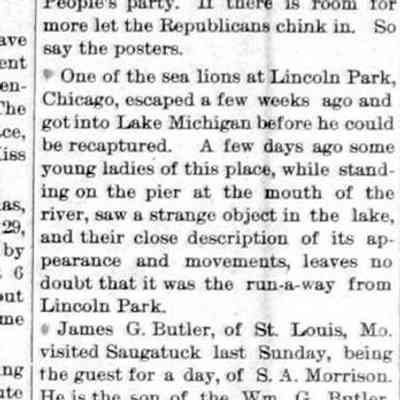 Seals and Sea Serpent in Lake Michigan