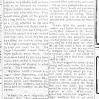          cr1919102308Hutchins.jpg on Wild Pigeons; Mr. D.H. Hall's 1914 recollections of hunting and preparing the then-numerous wild pigeons (passenger pigeons aka Ectopistes migratorius), 