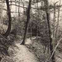 Source: "Browning Path, Saugatuck, Mich.". https://quod.lib.umich.edu/t/tinder/x-1488/tinder-rppc-002975. In the digital collection David V. Tinder Collection of Michigan Photography. William L. Clements Library, University of Michigan Library Digital Collections. February 02, 2026.