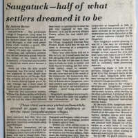 Settlers Dream