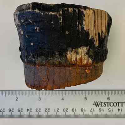 Wooden bung or stopper, partially painted black, side view.