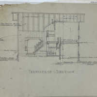 Tansverse Section (Nies)