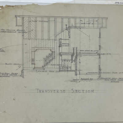 Tansverse Section (Nies)
