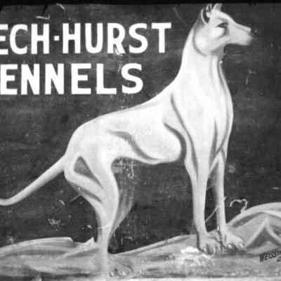 beechurstkenn.jpg 206KB: Beech-Hurst Kennels