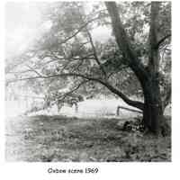          Oxbow scene 1969.jpg 1.3MB
   