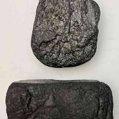 Coal