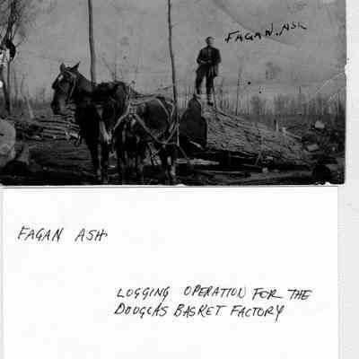 Logging and Lumbering Box 31