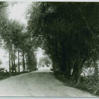 Road to Swing Bridge