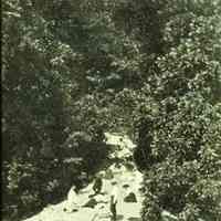 Mt. Baldhead memories by Helen Gage DeSoto