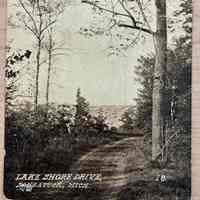 Lake Shore Drive, Saugatuck, Mich.