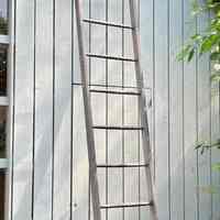 Ladder, orchard