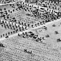          Schumann farm birdseye.jpg 325KB; from Joseph Warner bird's-eye of Saugatuck, 1907, 2021.103.11
   