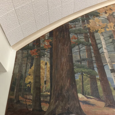 Photos of the Paw Paw mural posted by Millerfenwood circa 2017: https://millerfenwood.com/2017/05/18/hoerman-mural-american-progress/