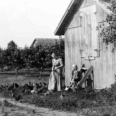 4.0_Orchard_barn_with_woman.jpg 430KB: A young woman and a boy outside a barn or shed. The woman is feeding chickens. The boy is sitting on rustic stairs. In the distance are rows of fruit trees and more structures.