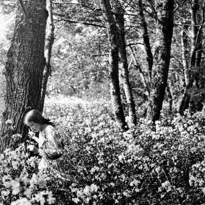 LO34 flowers a.jpg 816MB