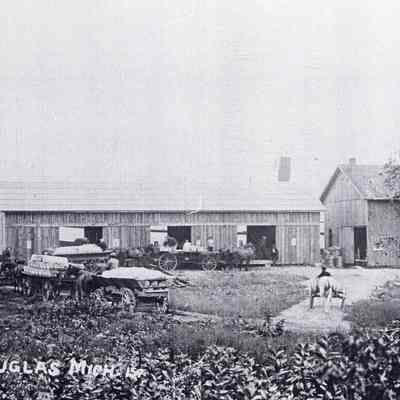Payne's Fruit Warehouse Douglas