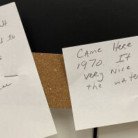          guest feedback
   