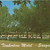 Timberline Motel Postcard