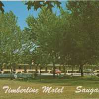          Timberline Motel Postcard
   