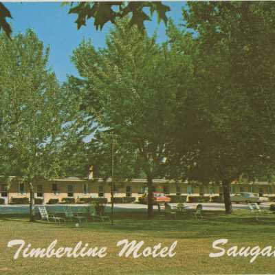 Timberline Motel Postcard