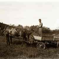          ManWagonHorses.jpg 1.6MB - Digital file on Jack Sheridan Drive 2021.72.02; Man standing in a flat wagon pulled by pair of dark horses in an unknown orchard.
   