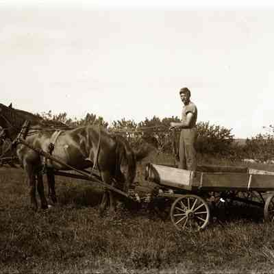 Farming - digital images